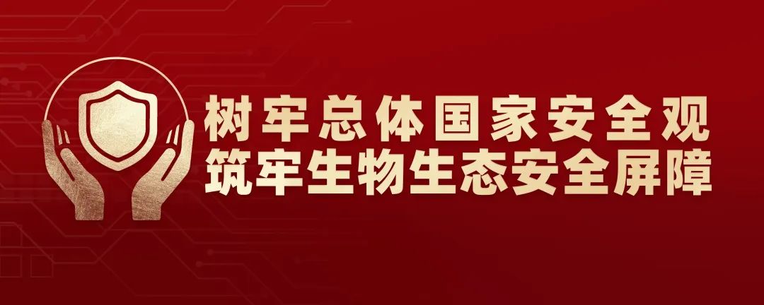 头图