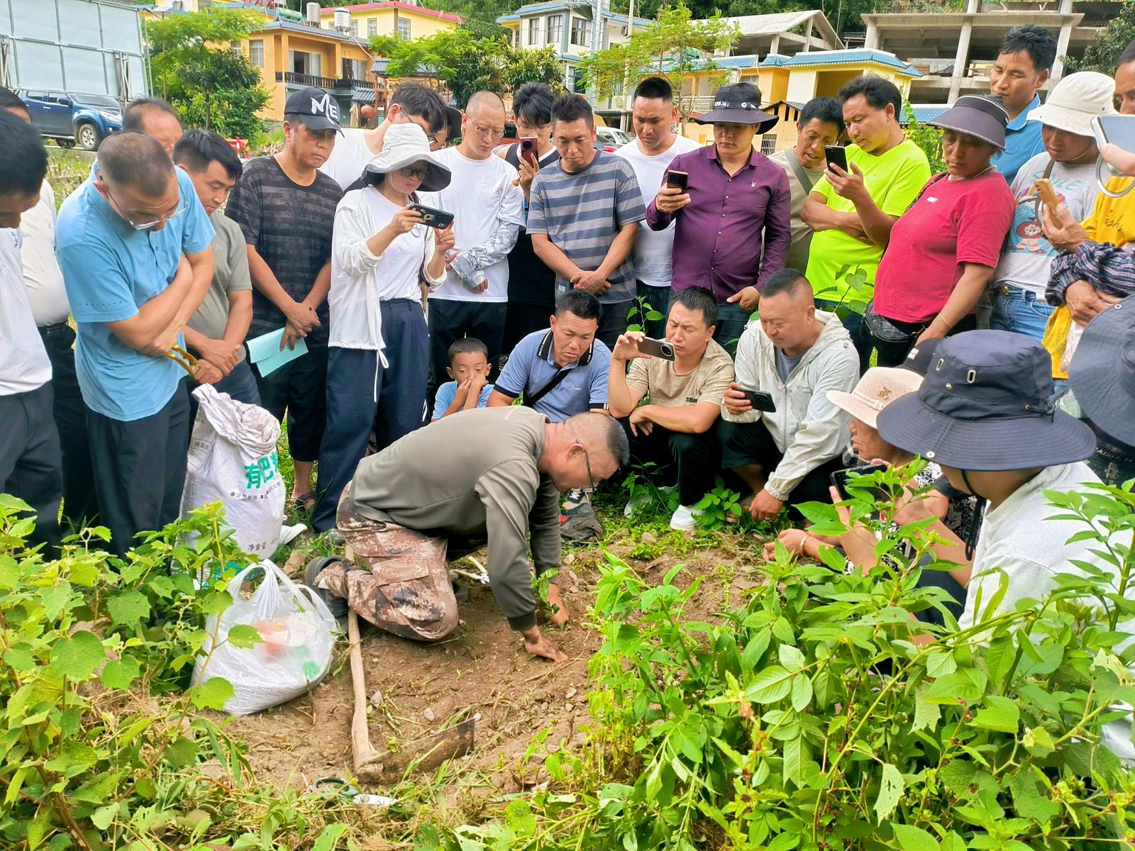 泸水市举办生态友好型咖啡种植培训- 泸水网
